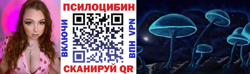 MEGA сайт  Мирный  Галлюциногенные грибы Psilocybe 